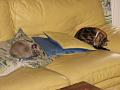 2007-03 Saphir 025